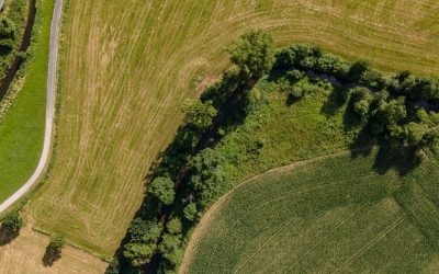 2020-06-29_17-59-33_246 2020-06-29_17-59-33_246